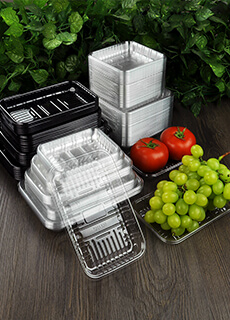 Bandeja de plástico